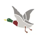 logo Chevignon