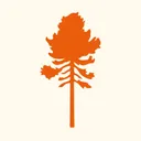 logo Pinewood