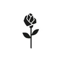 logo Seidensticker